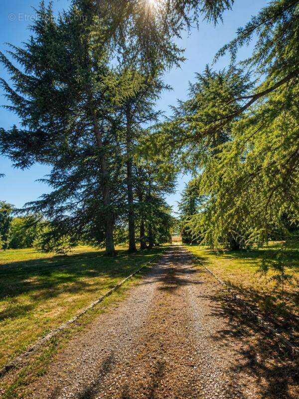 Propriété de 12 pièces de 820 m² à Samazan - photo 24