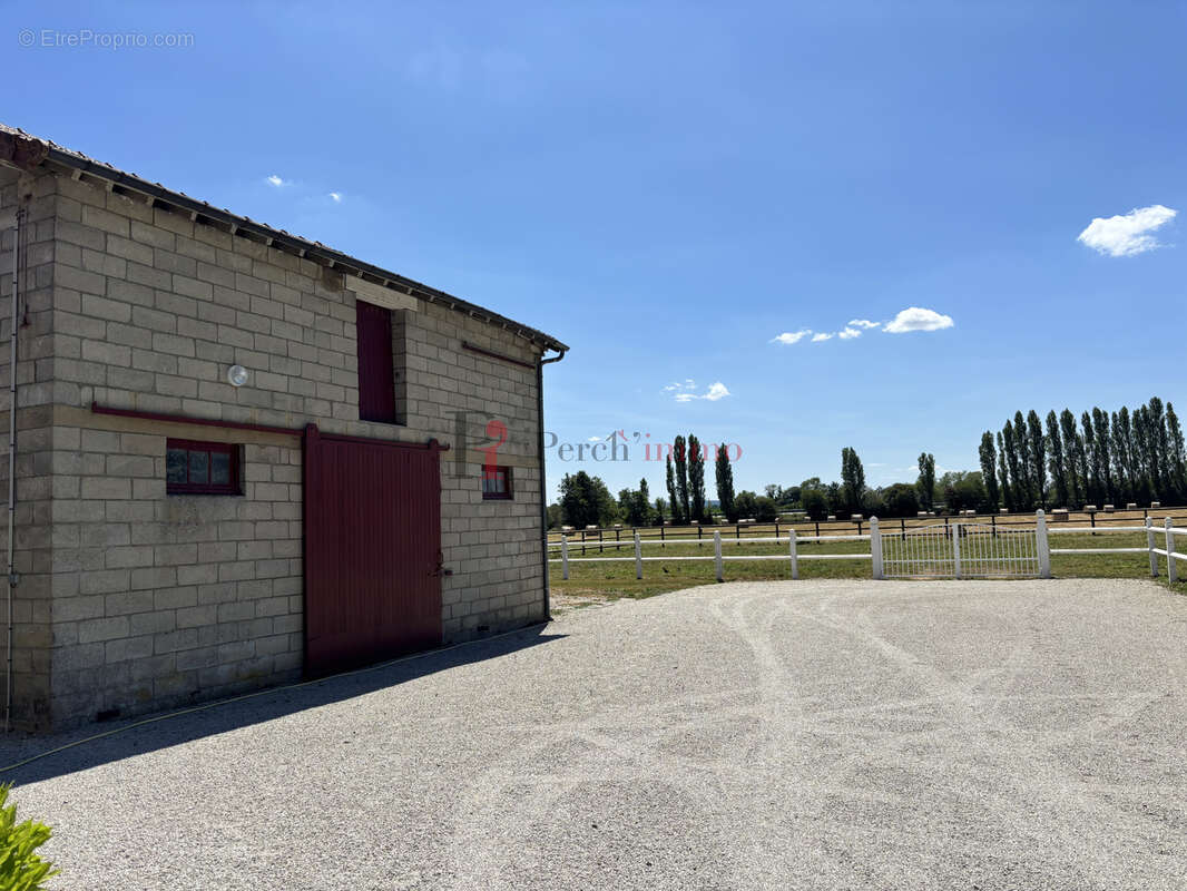 Propriété des années 50 avec écuries et 3,5 ha au cœur du bourg   Le Mêle-sur-Sarthe - photo 4