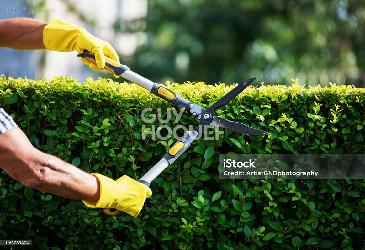 Commerce à BESANCON