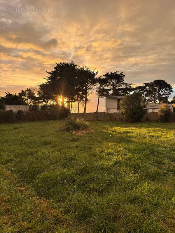 Terrain à SAINT-PIERRE-QUIBERON