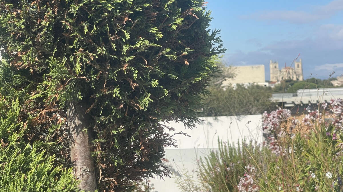 Appartement à NARBONNE