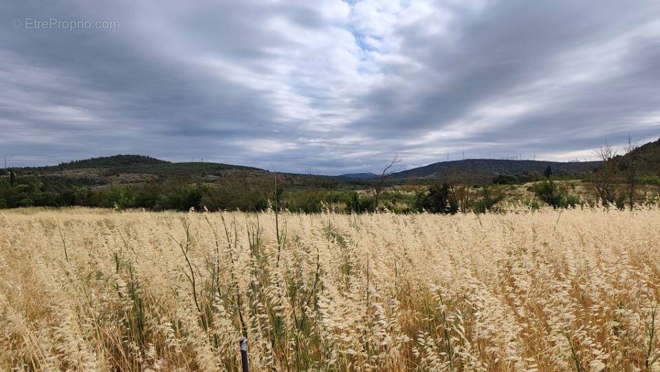 Terrain à PORTEL-DES-CORBIERES