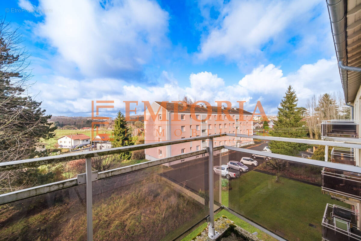 Appartement à DELLE