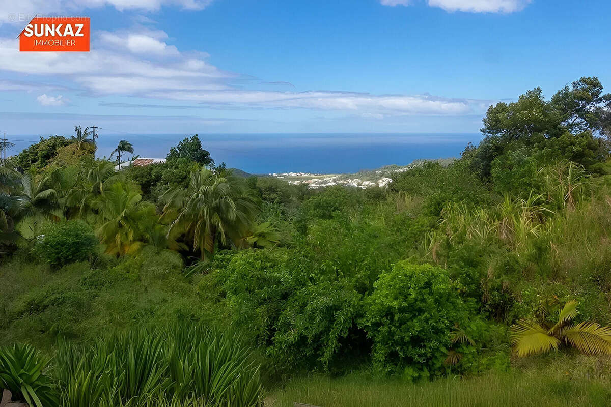 Maison à PETITE-ILE