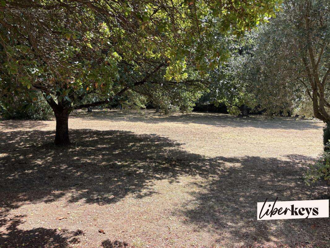 Belle maison familiale de 175 m² sur terrain arboré de 2 963 m² exposé plein sud - photo 13