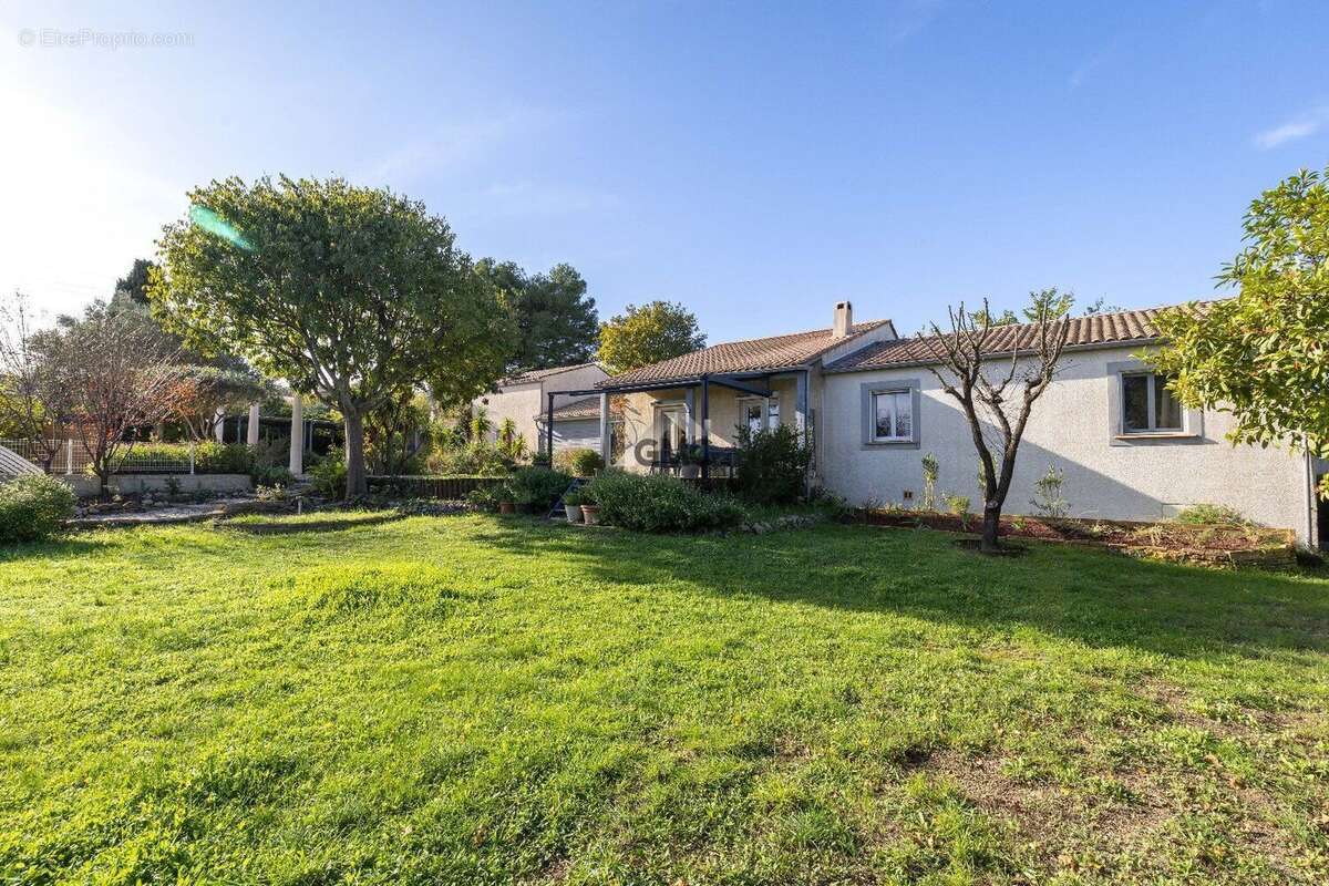 Photo 7 - Maison à TOURBES