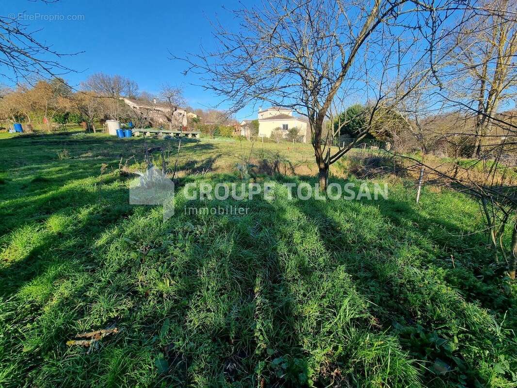 Terrain à DONNEVILLE