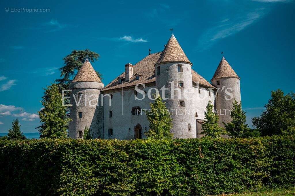 Château aux portes de genève - photo 8