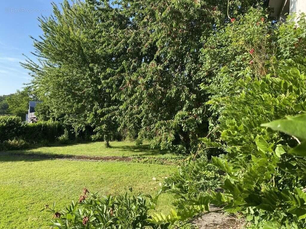 Maison à NEUVIC-ENTIER