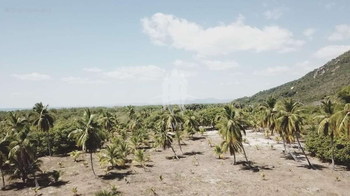 Terrain à BANOS