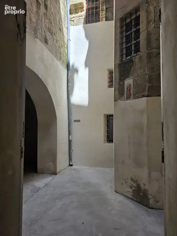 Arles centre ville historique, quartier arènes, maison 230 m2 comprenant un patio, une terrasse et un garage - photo 4