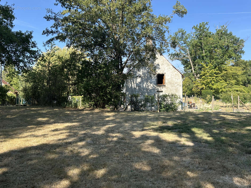 Propriété 3,7 ha : maison ancienne rénovée, mare, friche, bois, prairie - photo 17