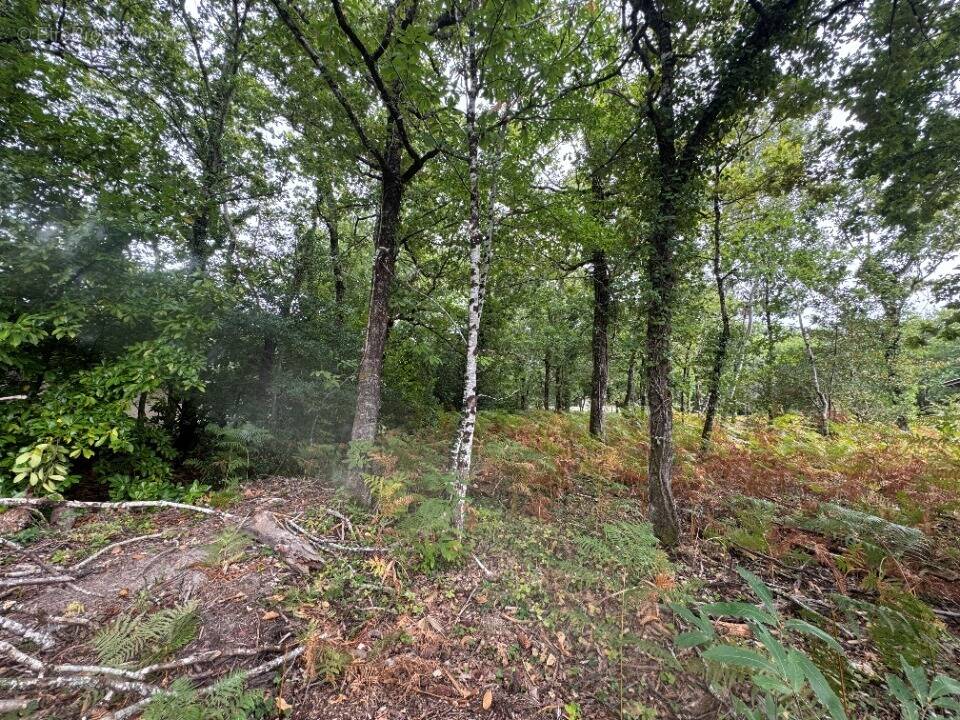 Terrain à GRAYAN-ET-L'HOPITAL