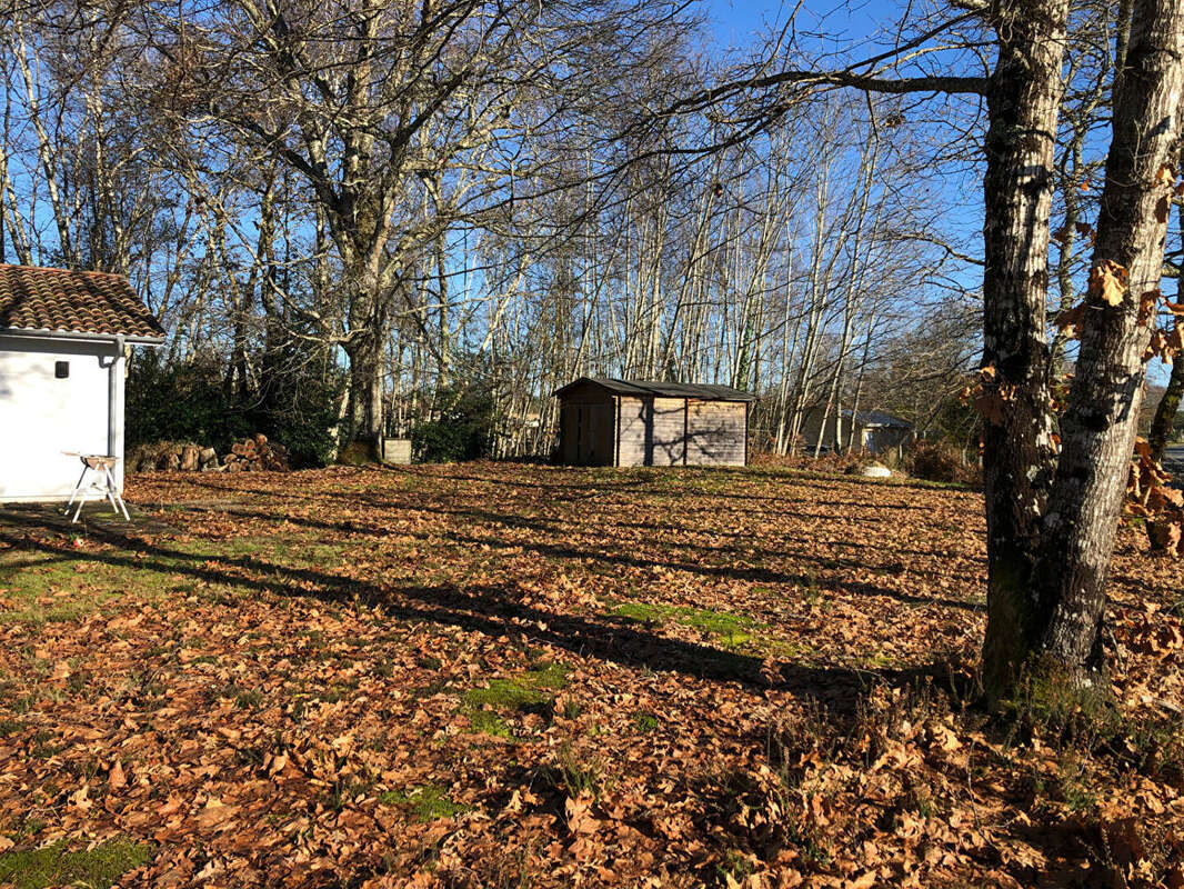 A VENDRE - LACANAU de MIOS - maison en parfaite état d'environ - photo 6