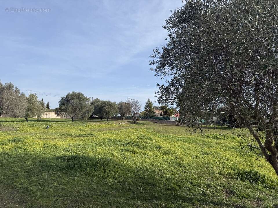Terrain 631 m² à Roquebrune-Sur-Argens  - photo 3