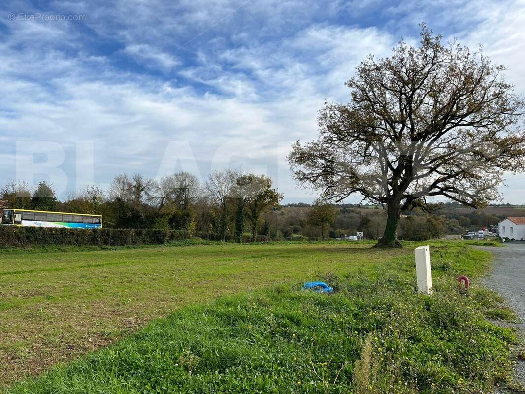 IMG-20251129-WA0008 - Terrain à MOUCHAMPS