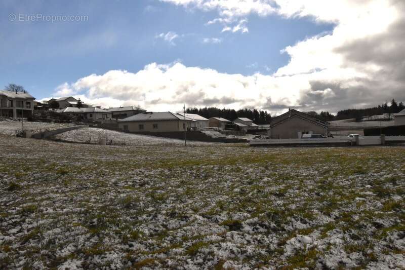 Terrain à SAINT-AGREVE