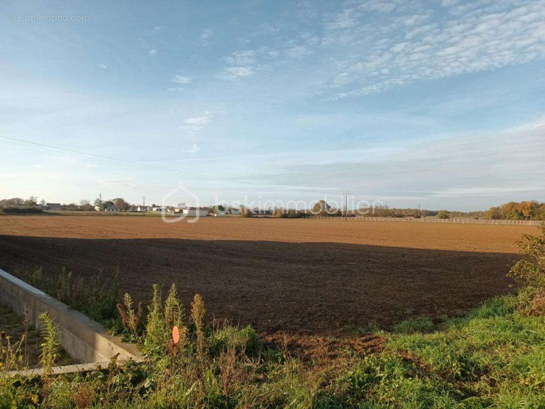  terrain d’activité – 9 653 m² – zone aux – thors (17) - photo 5