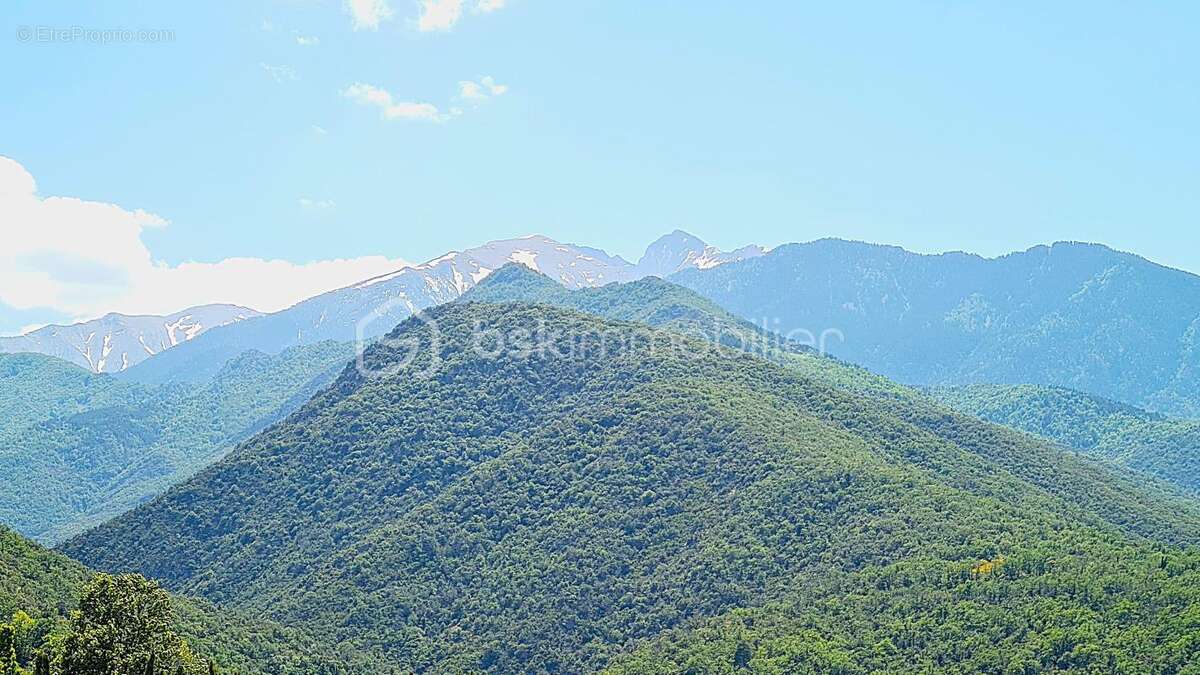 Villa 4 faces avec piscine et vue sur le Canigou - photo 15