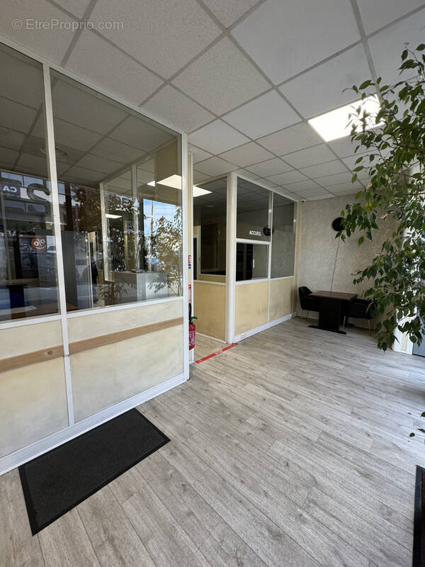 Commerce à PUGET-SUR-ARGENS