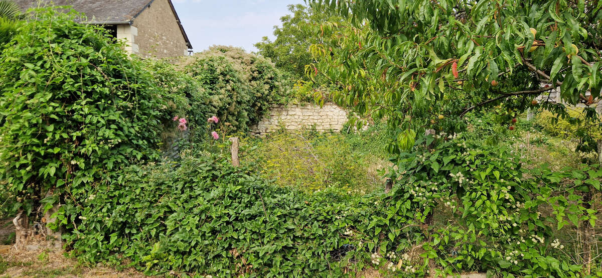 Autre à FAYE-LA-VINEUSE