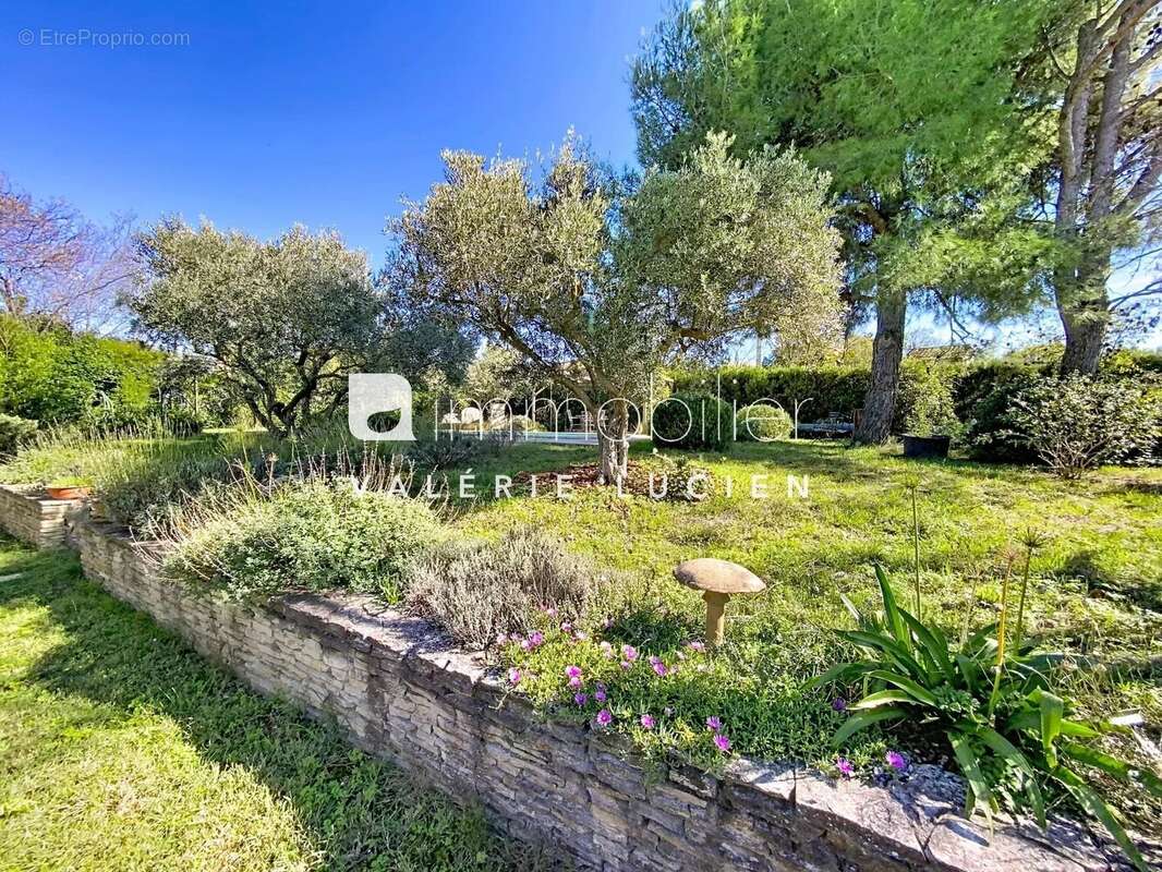 Maison à SAINT-REMY-DE-PROVENCE