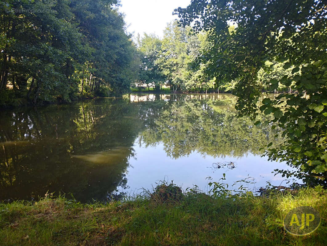 Terrain à SAINT-ANDRE-DE-LA-MARCHE