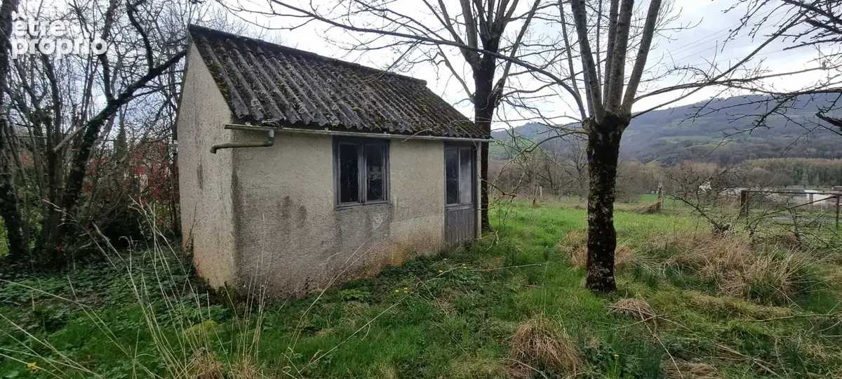 Exclusivité ! - photo 4