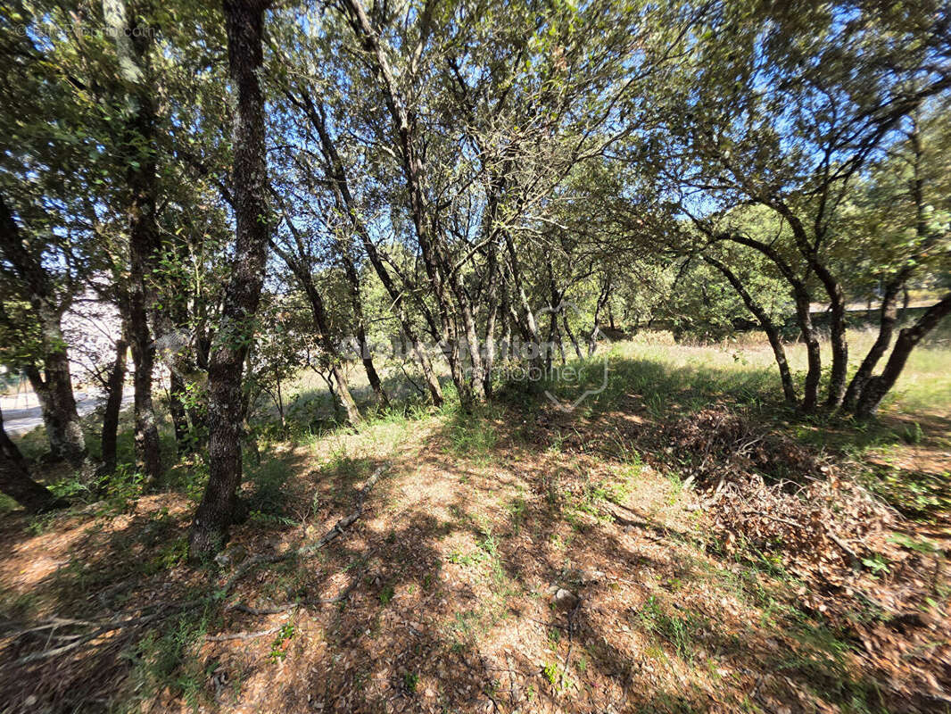 Terrain à bâtir de 1 011 m² à Ginasservis - photo 2
