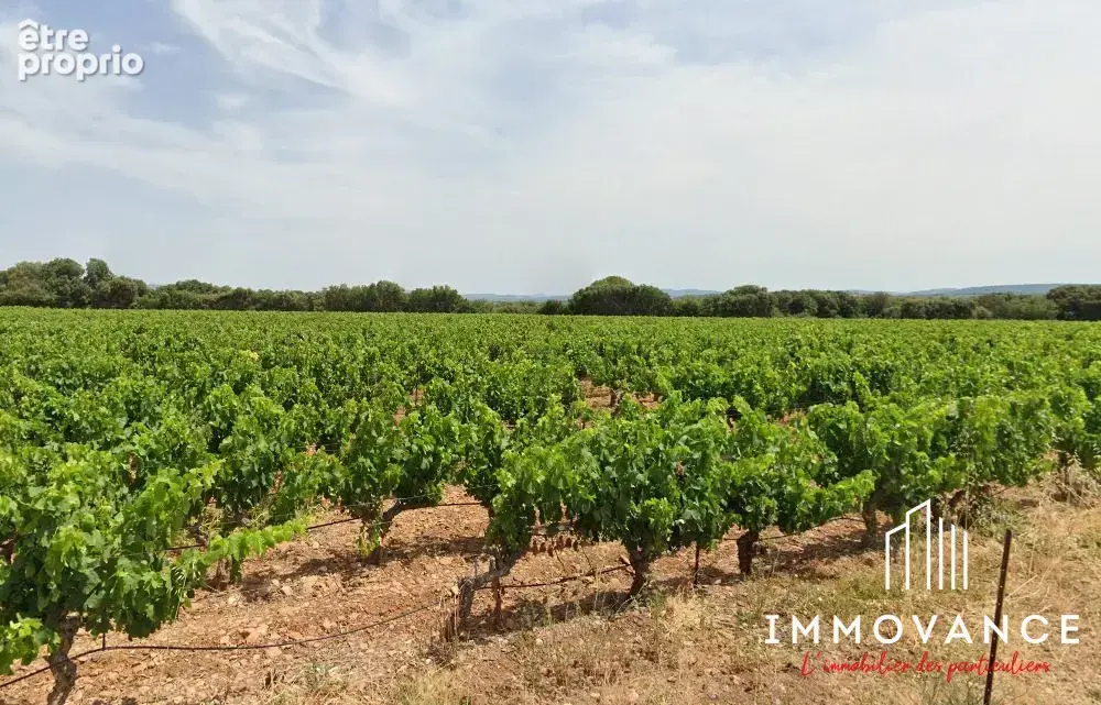 Photo Terrain à Canet au prix de 134 000€