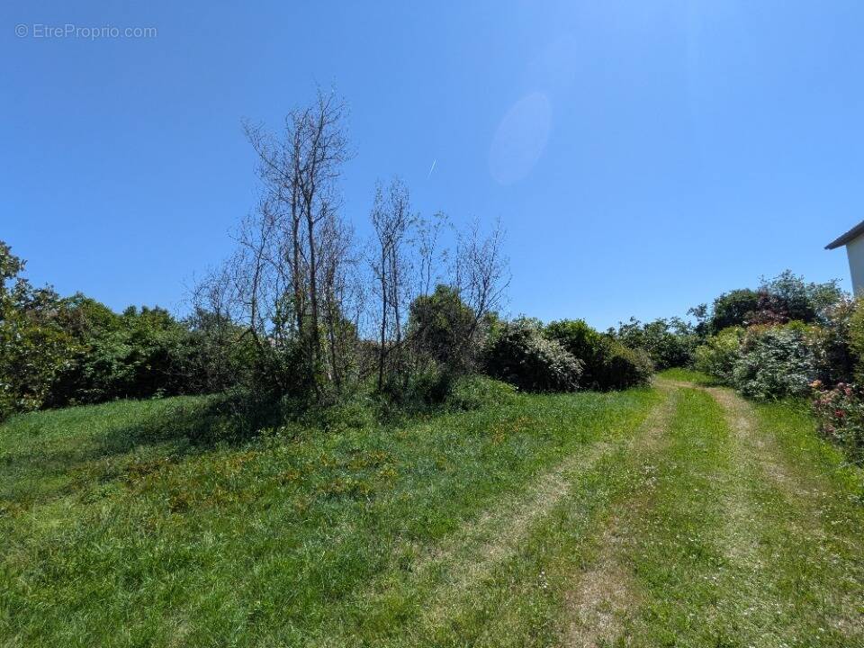 Terrain à VILLATE