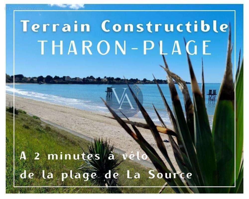 Terrain à SAINT-MICHEL-CHEF-CHEF