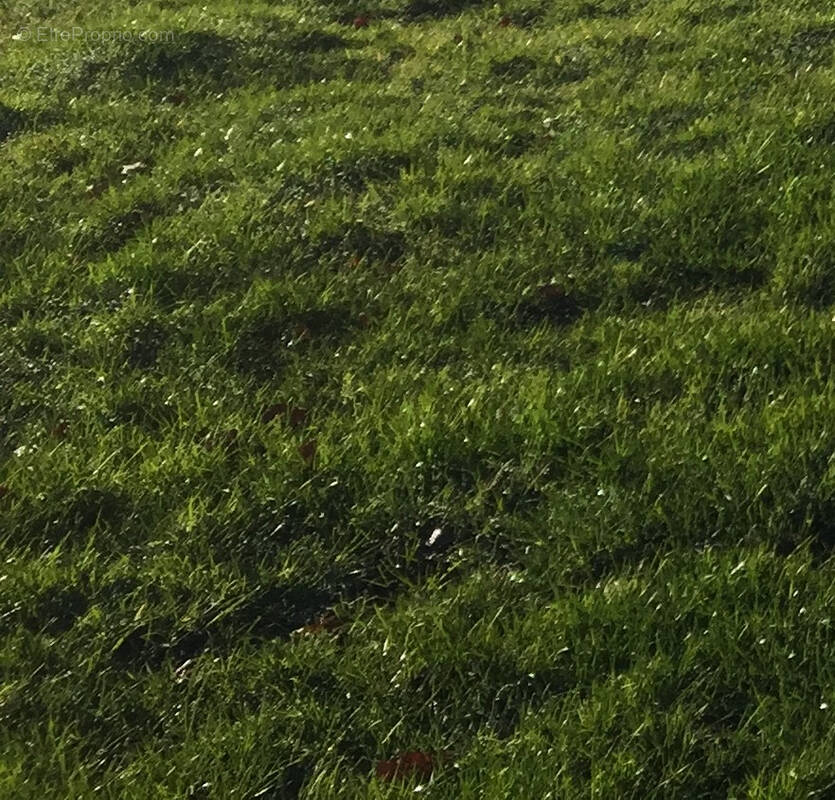 Terrain à COURMANGOUX