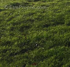 Terrain à COURMANGOUX