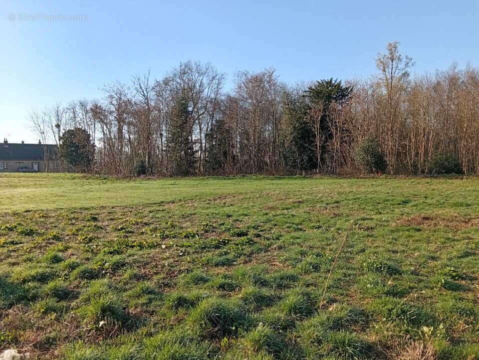 Terrain à GUICHAINVILLE