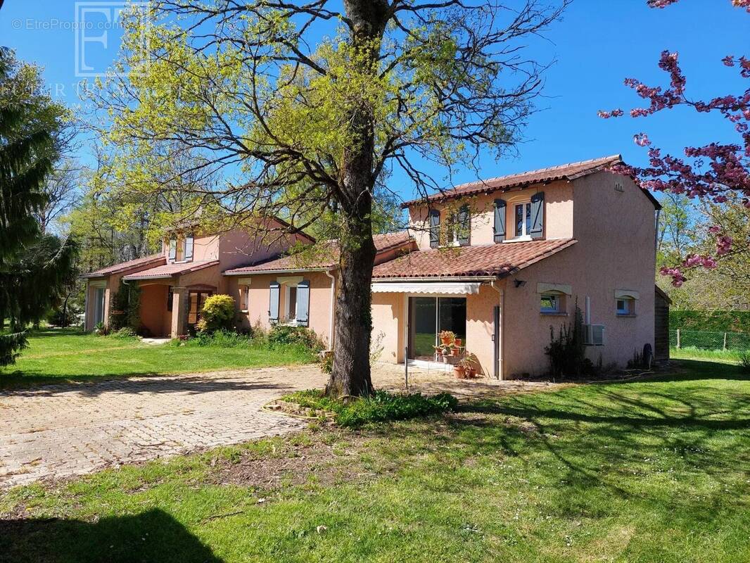 Maison à SAINT-ESTEPHE