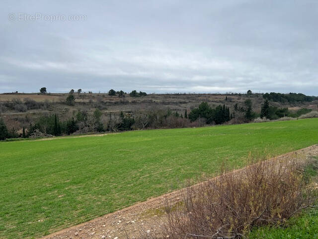 Terrain à RIEUX-MINERVOIS