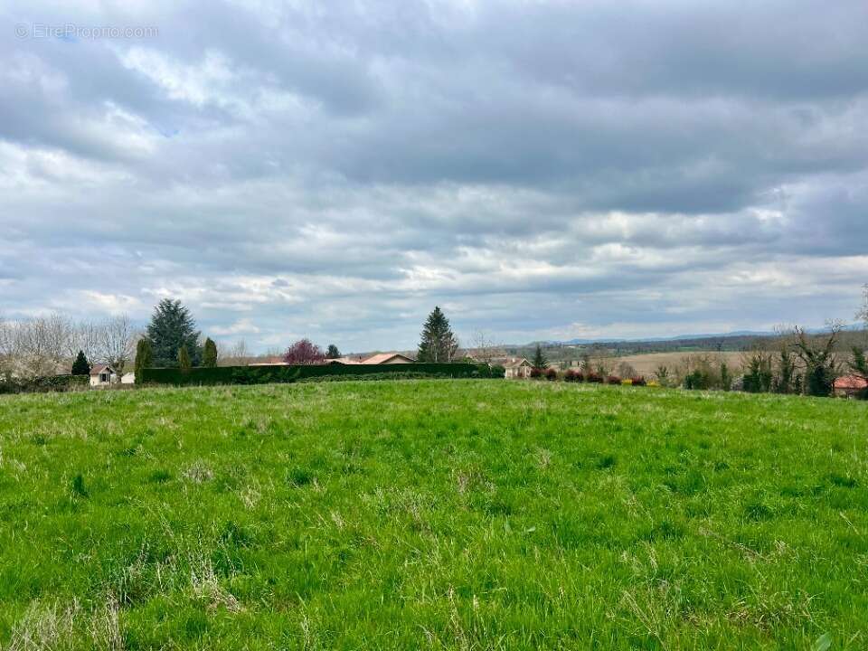 Terrain à CHALAMONT