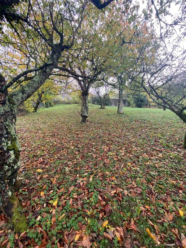 Terrain à SAINT-LAURENT-EN-ROYANS