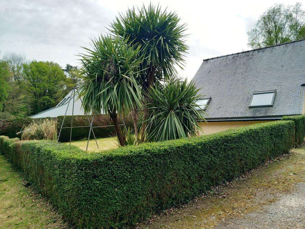 Maison à PLELAUFF
