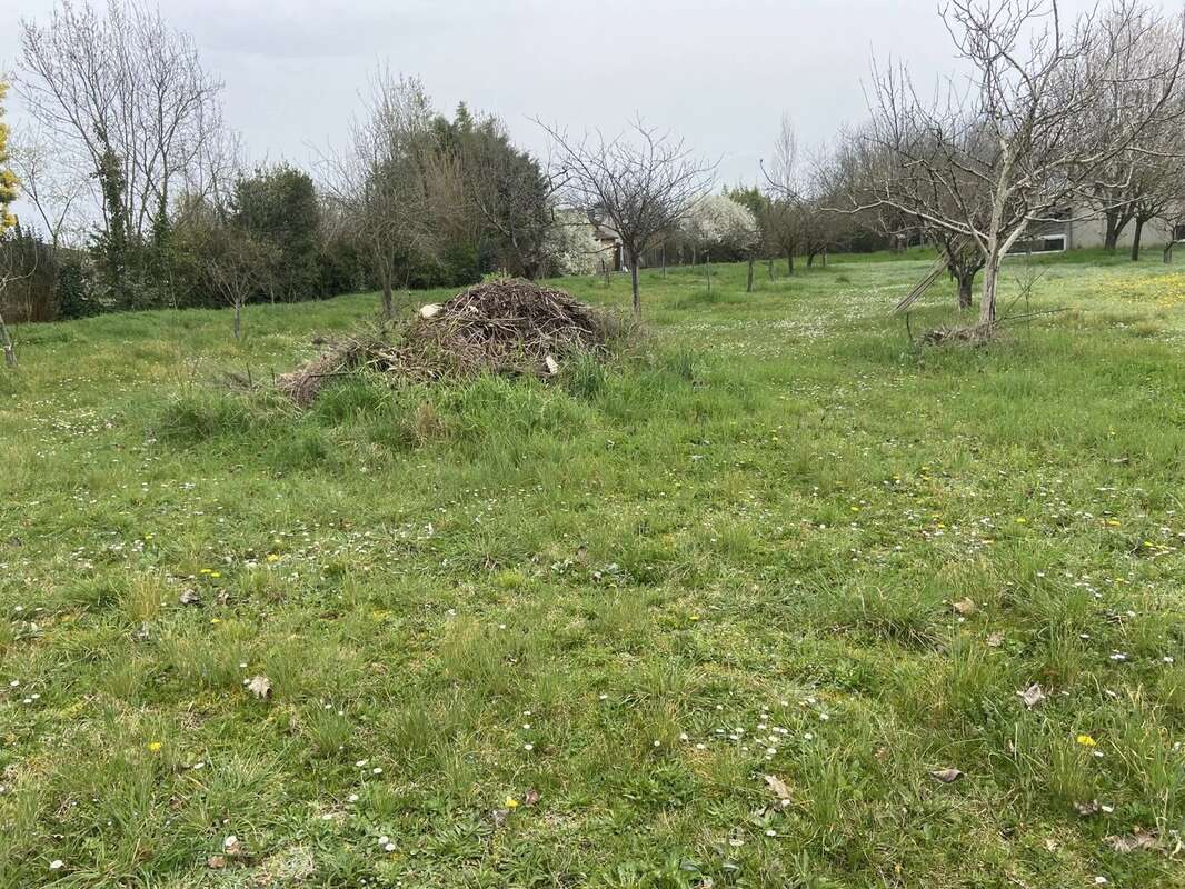 Terrain à GAILLAC