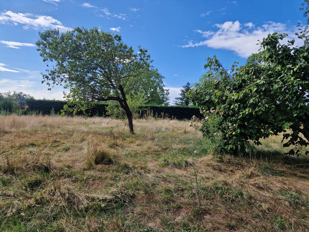 Terrain à RUFFEY-LES-BEAUNE