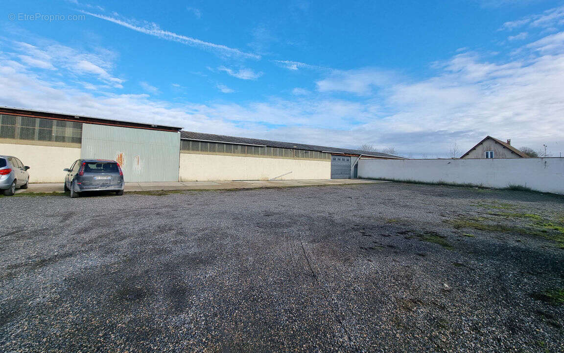Local + appartement - photo 2