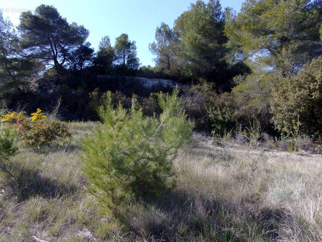 Terrain à SAINT-PONS-DE-MAUCHIENS