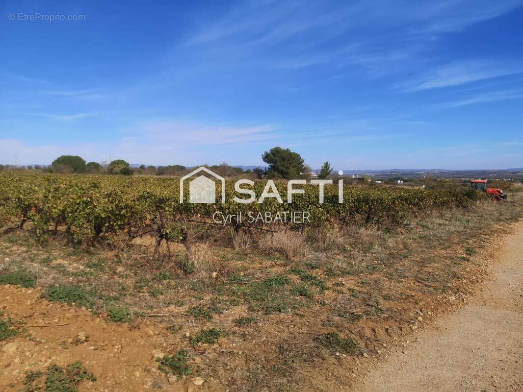 Photo 2 - Terrain à MARAUSSAN