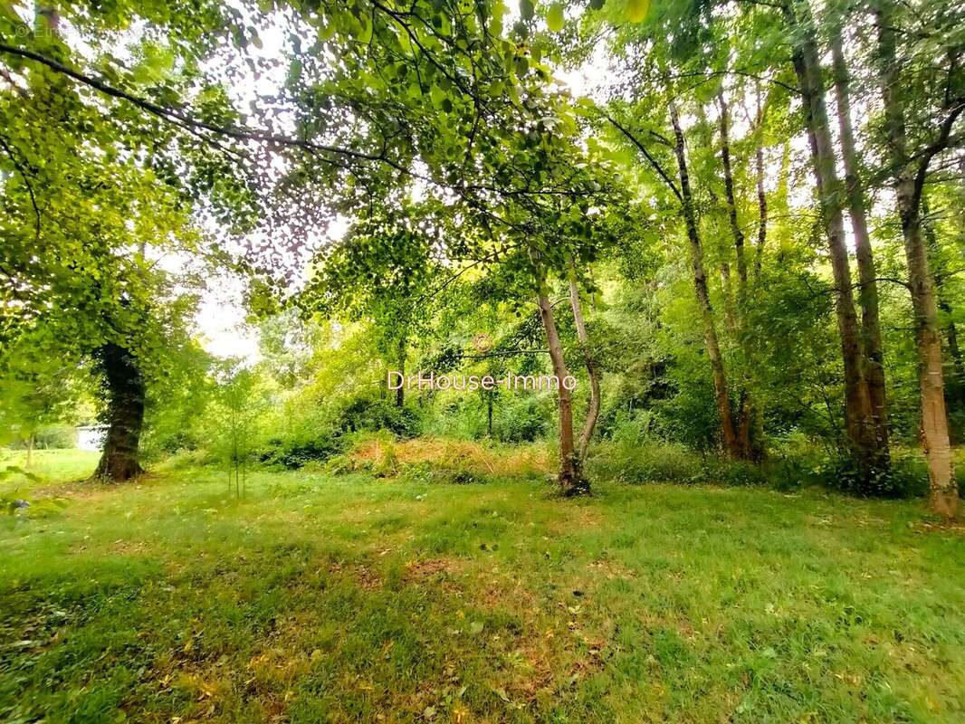 Terrain à SAINT-GEORGES-LES-BAILLARGEAUX