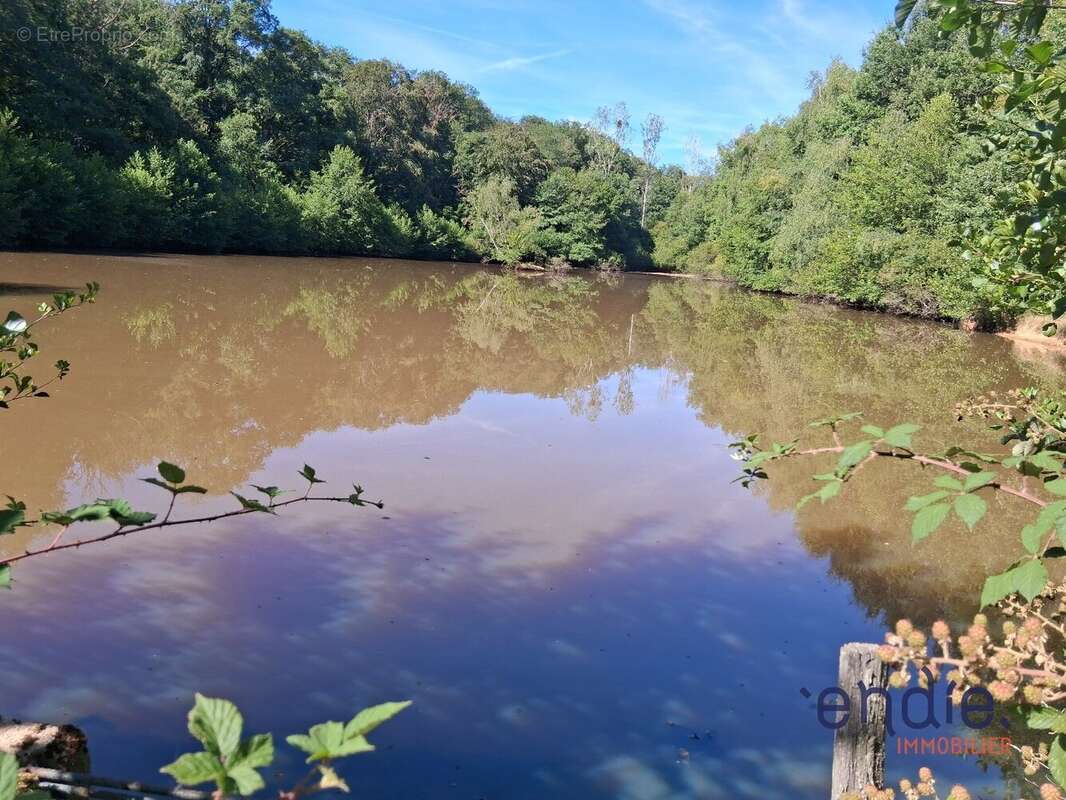 Terrain avec etang - photo 2