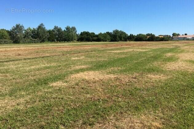 Terrain à LA ROCHELLE