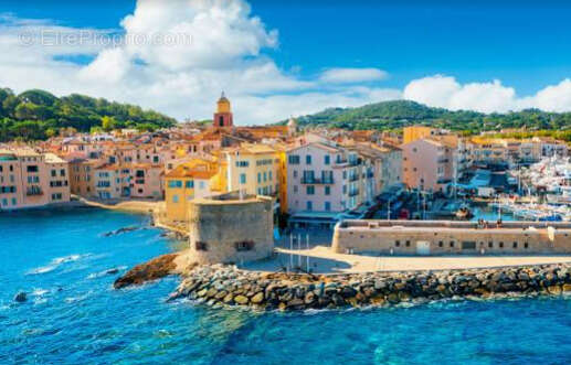Photo 9 - Appartement à SAINT-TROPEZ