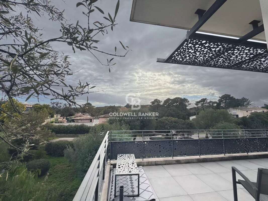 Appartement à ZONZA